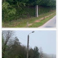 Haie rabattu à 2 m